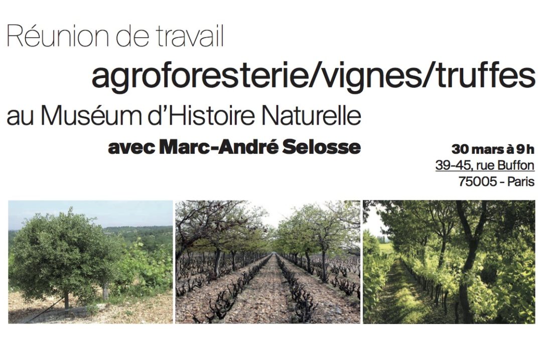 Vigne et truffes, avec Marc-André Sélosse