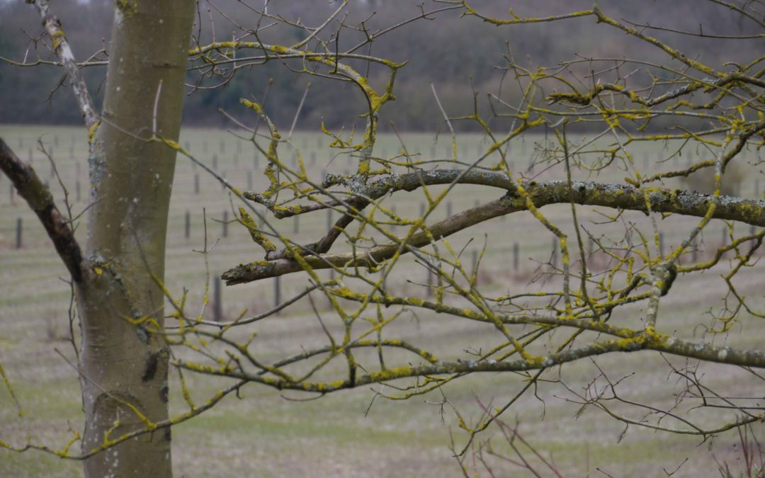 Visite de terrain, 5 avril