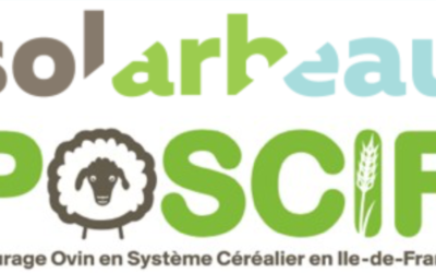 Visite de fermes : Agroforesterie, Agriculture de conservation et Pâturage ovin, le 15 février 2019 autour de Milly-la-Forêt