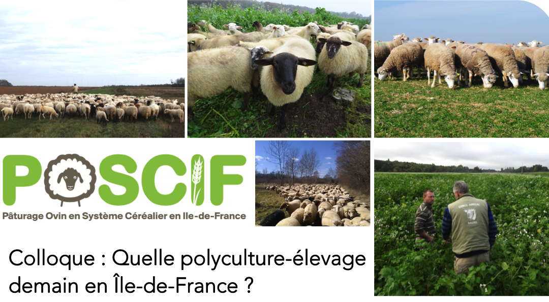31 janvier 2020 – Colloque : quelle polyculture-élevage demain en Île-de-France ?