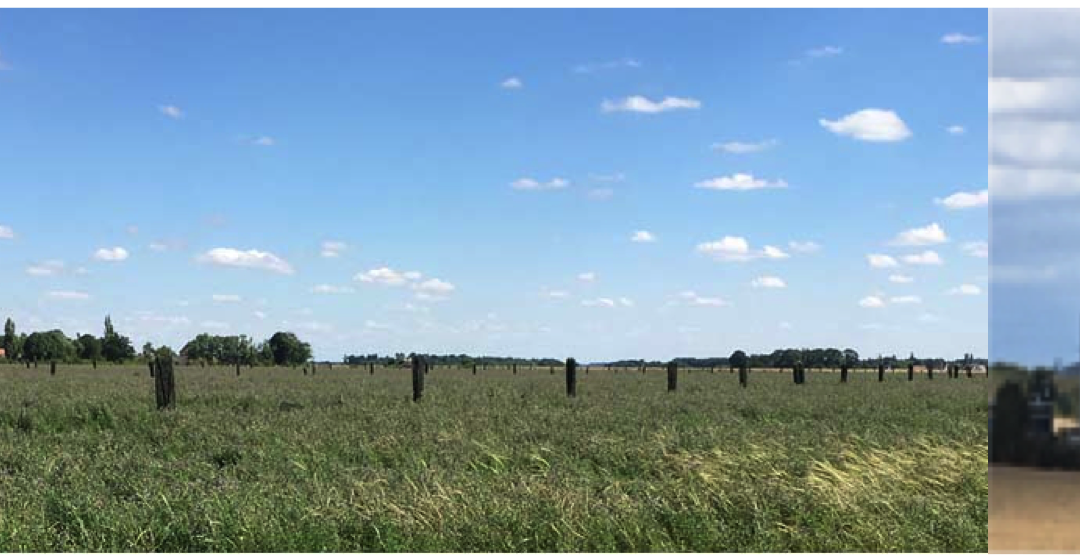 25 septembre 2019 – journée sur la filière « Céréales paysannes »
