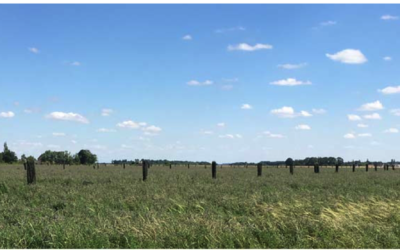 25 septembre 2019 – journée sur la filière « Céréales paysannes »