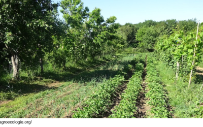 7 février 2020 – Vergers Maraîchers