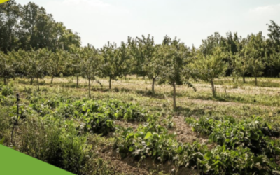 2 février 2021 – Wébinaire Vergers-maraîchers