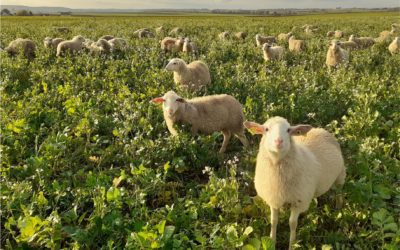 17 décembre 2021 – Webinaire de restitution POSCIF