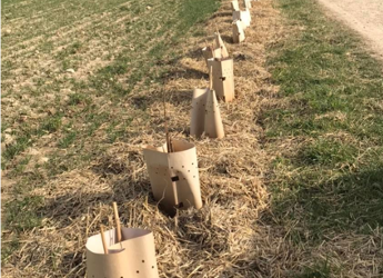 15 juin 2022 – rallye agroforestier en centre Seine-et-Marne