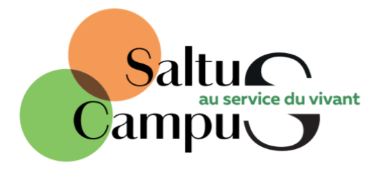 Recrutement – directeur/directrice pour Saltus Campus