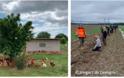 15 juin – Rallye agroforestier sur le plateau Briard