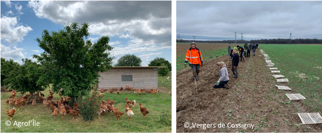 15 juin – Rallye agroforestier sur le plateau Briard