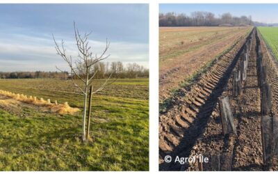 5 juin 2024 – Rallye haies autour de Melun