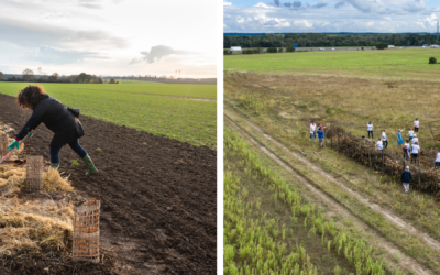 Participez à nos différents chantiers !