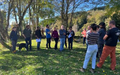 Retour sur le séminaire CIVAM Pastoralisme