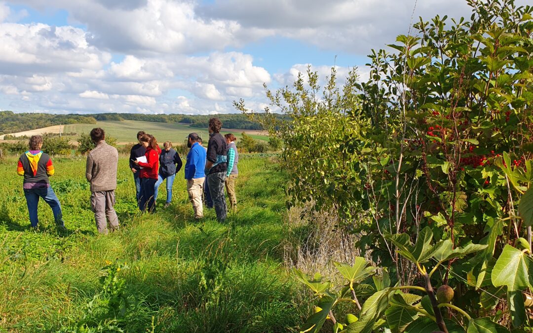 Retour sur le rallye haies en Bassée-Montois