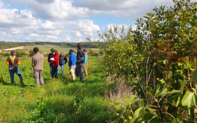 Retour sur le rallye haies en Bassée-Montois