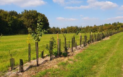 Retour sur le rallye haie dans le Dourdonnais