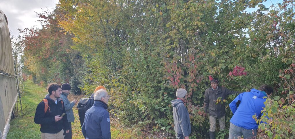 Haie multi-stratifiée protégeant les tunnels de production de légumes