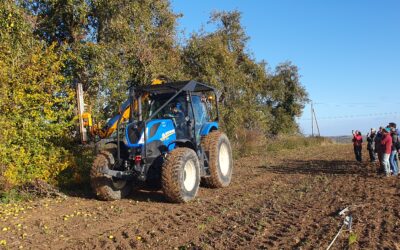 Entretien des haies au lamier à scies