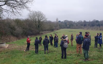 Résumé de journée technique – Recépage et autres pratiques pour la gestion durable et la valorisation des haies