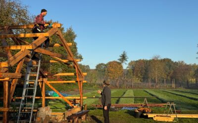 De la haie à la construction bois – Retour sur un chantier de valorisation du bois des haies agricoles