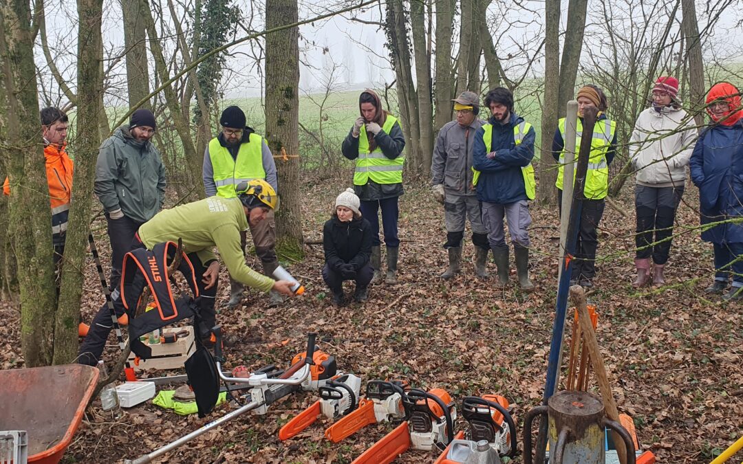 Retour sur deux journée techniques – Gestion sylvicole des haies