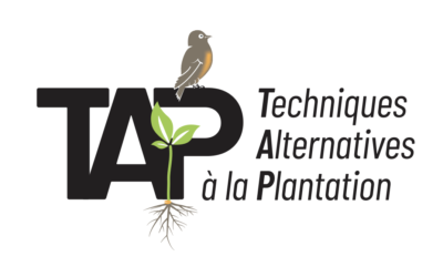 21 mai et 16 juin, deux évènements pour découvrir le semis de haie et les autres techniques alternatives à la plantation