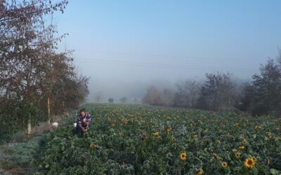 28 mai – Restitution IMPACT – Microbiologie