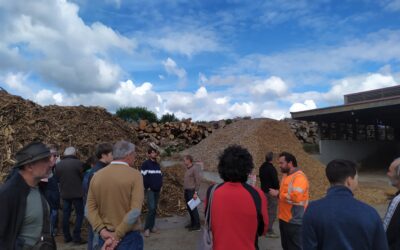 9 juin 2026 – Retour sur une visite de plateforme : valoriser les haies en bois énergie sur le territoire du Gâtinais français