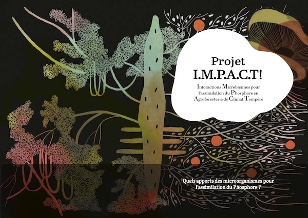 IMPACT-MAQUETTE-mai2026-couv