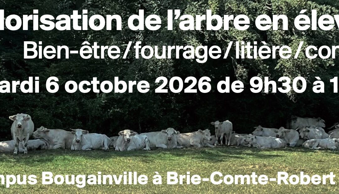6 octobre 2026 : Valorisation de l&rsquo;arbre en élevage (Bien-être, fourrage, litière, compost) au Campus Bougainville à Brie-Comte-Robert (77)