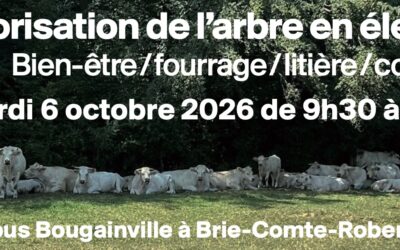 6 octobre 2026 : Valorisation de l’arbre en élevage (Bien-être, fourrage, litière, compost) au Campus Bougainville à Brie-Comte-Robert (77)