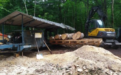 Samedi 12 septembre 2026 – Visite d&rsquo;une scierie spécialisée dans la valorisation des essences locales – Arbonne-la-Forêt (77)